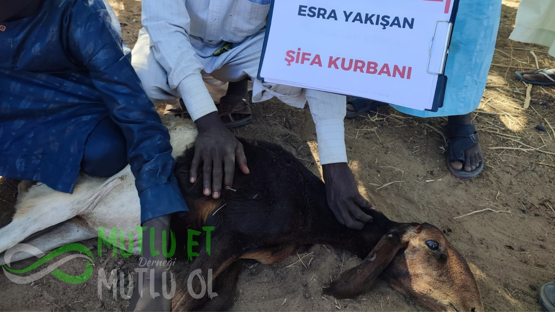 Kurban